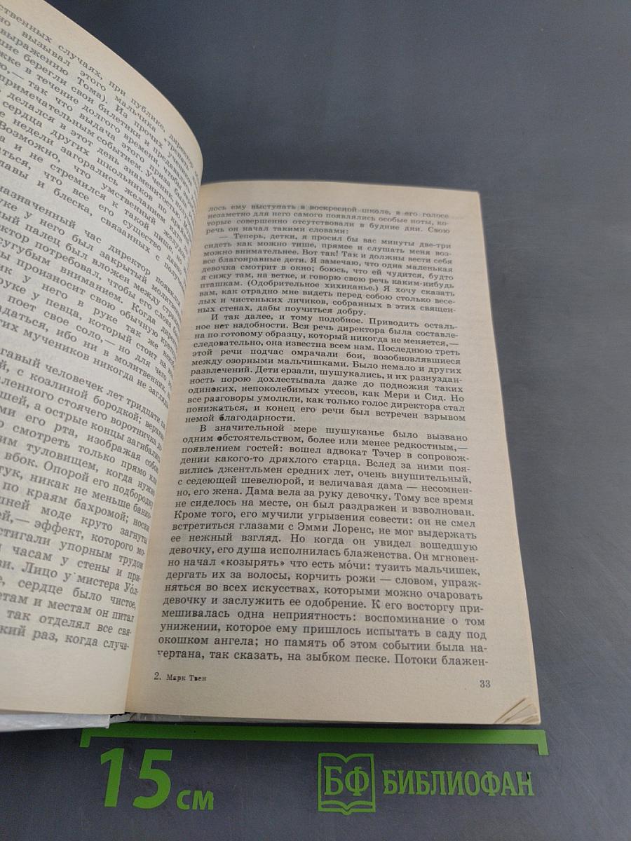 Приключения Тома Сойера и Гекльберри Финна