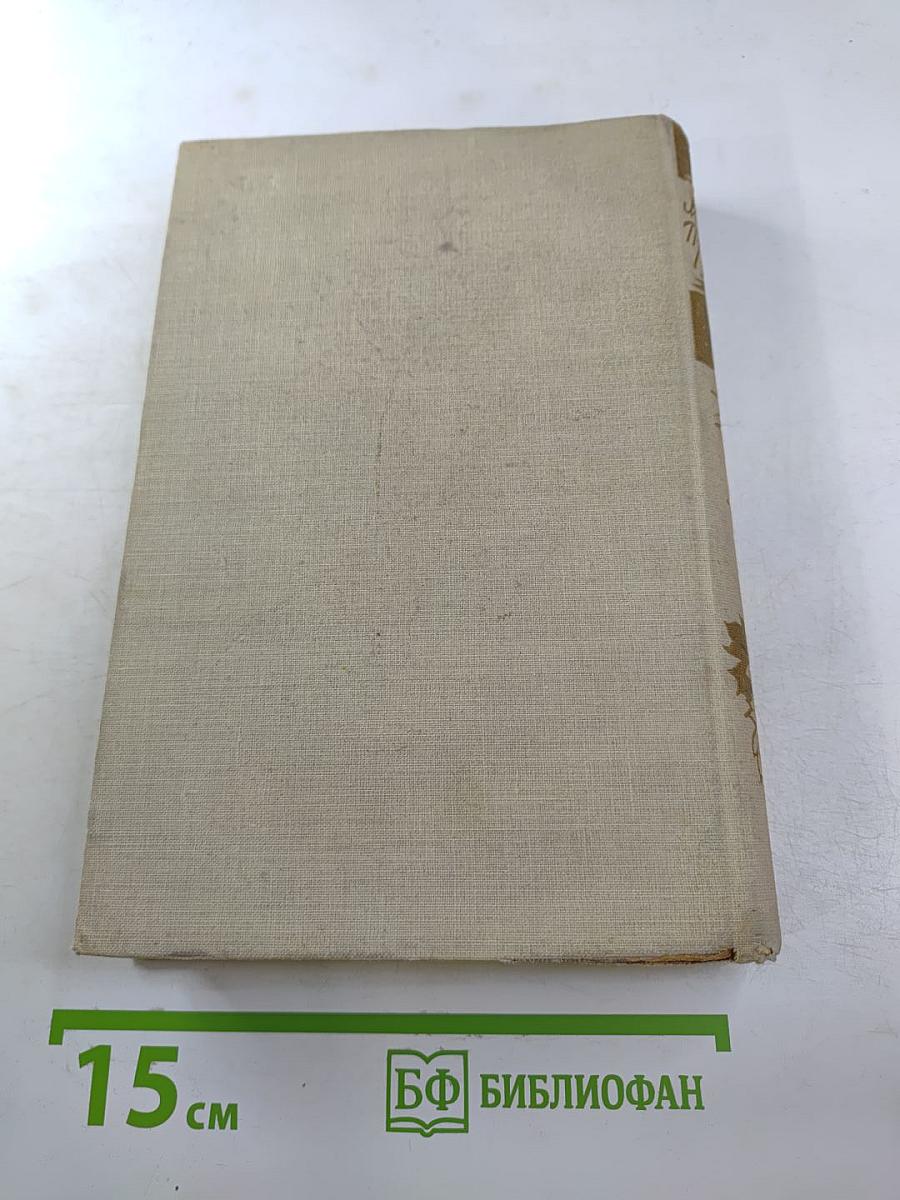 Глаза земли