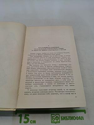 Виконт де Бражелон, или Десять лет спустя. Части 5, 6
