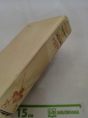 Виконт де Бражелон, или Десять лет спустя. Части 5, 6