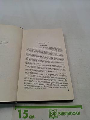 Перед лицом закона