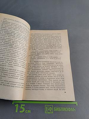 Стрижка, моделирование прическа