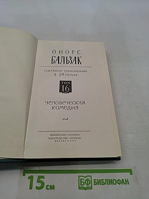 Собрание сочинений в 24 томах. Том 16. Человеческая комедия. Выборы