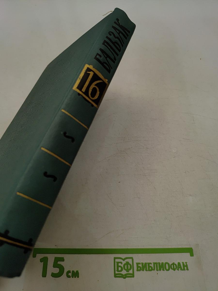 Собрание сочинений в 24 томах. Том 16. Человеческая комедия. Выборы