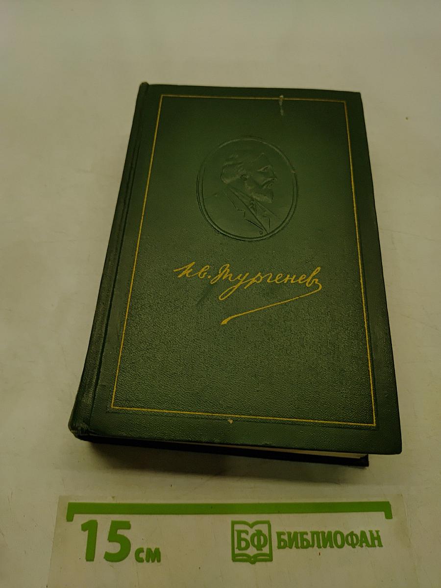Собрание сочинений. Том двенадцатый. Письма 1831-1883