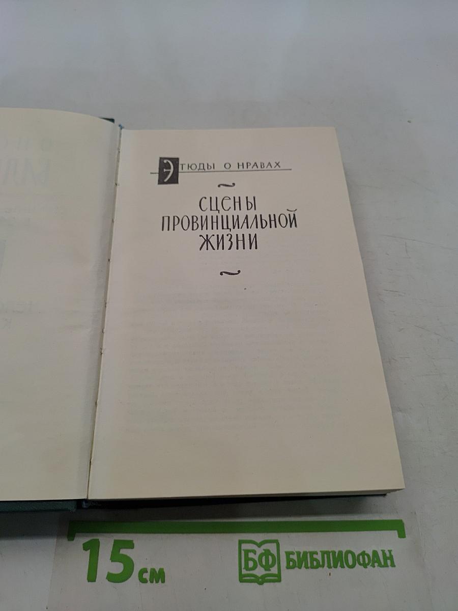 Сцены провинциальной жизни