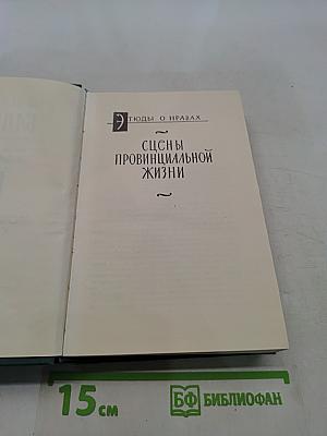 Сцены провинциальной жизни