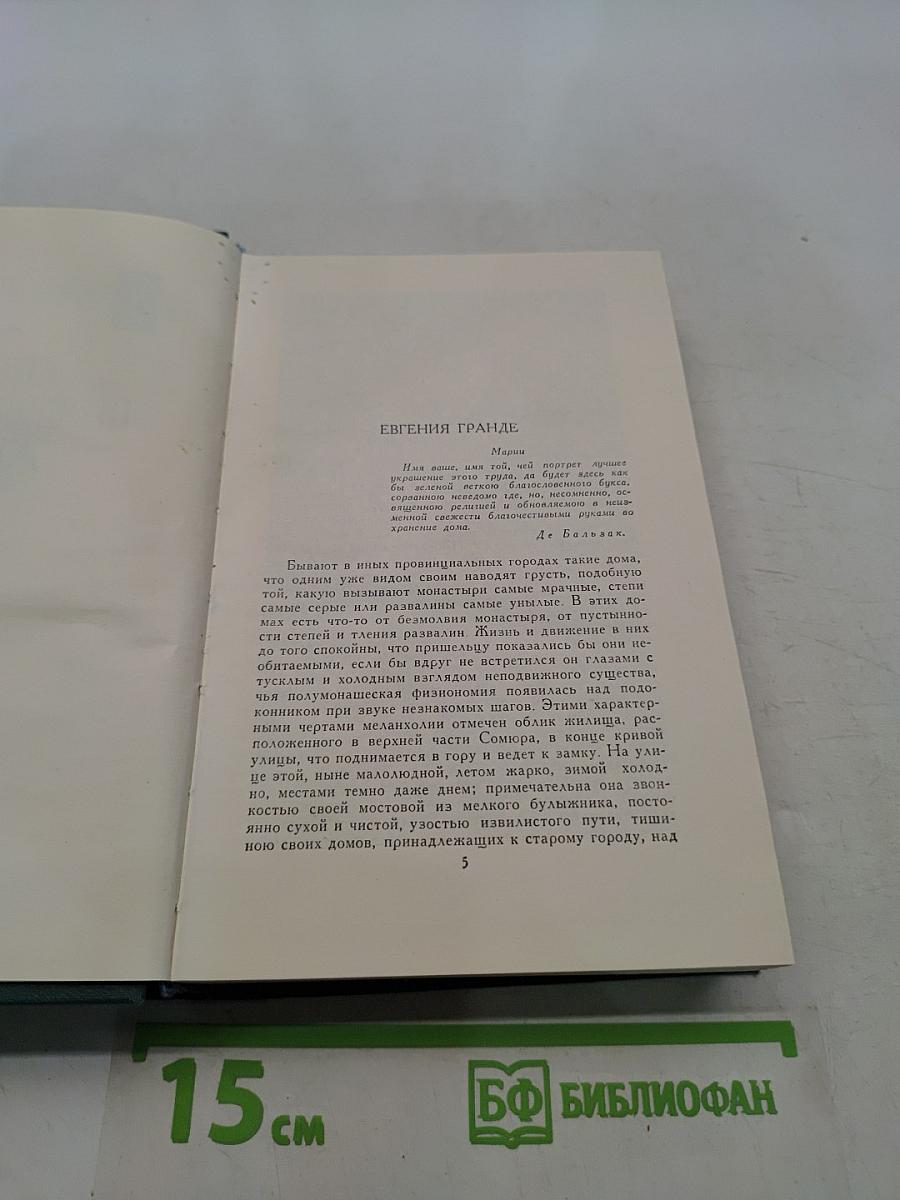 Сцены провинциальной жизни