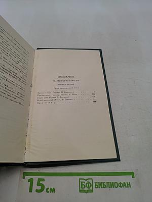Сцены провинциальной жизни