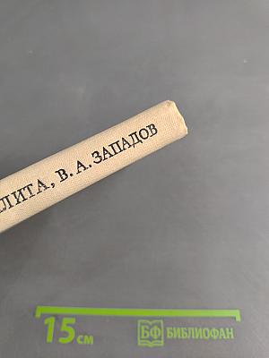 Радищев в Петербурге