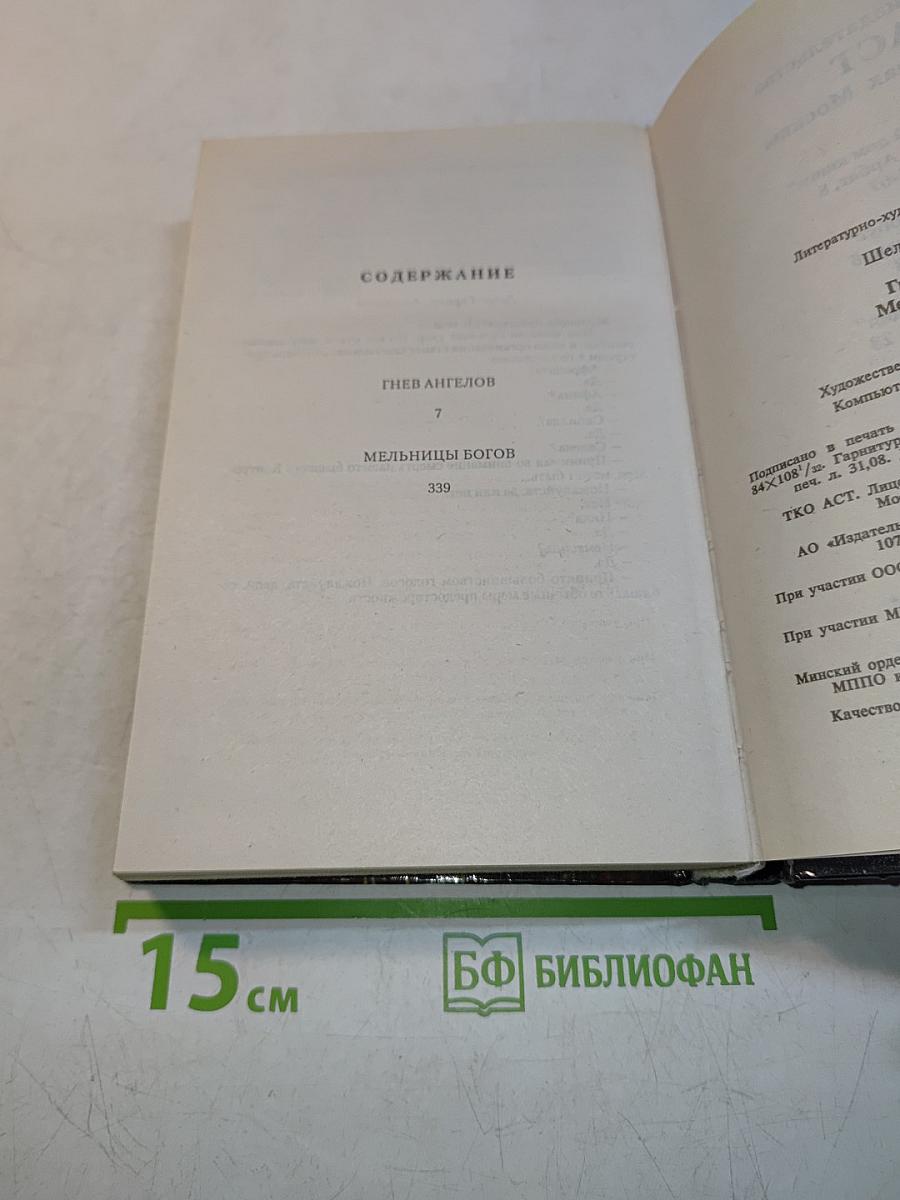 Гнев ангелов. Мельницы богов