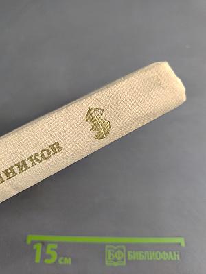 В снегах Антарктиды. Закованный в лед
