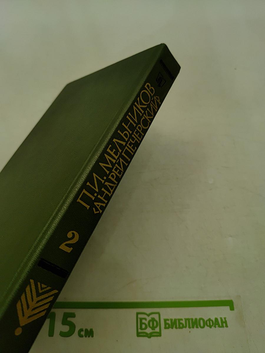 На горах. Книга вторая