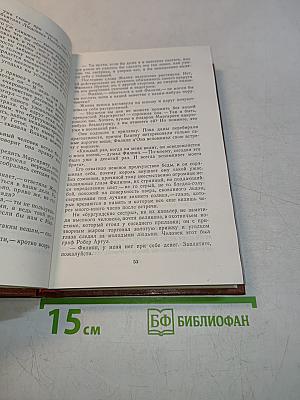 Железный король. Принцесса Шато-Жайар