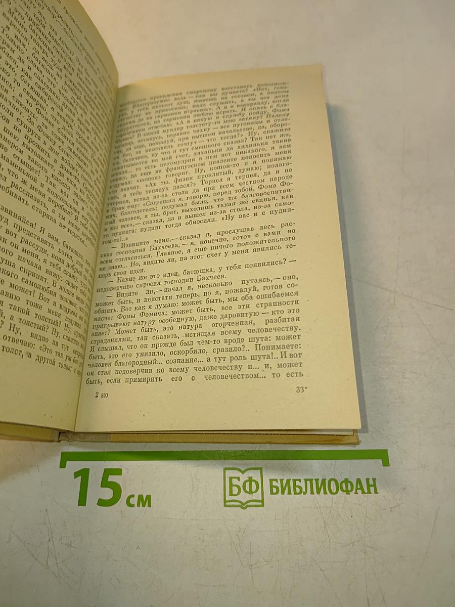 Село Степанчиково и его обитатели