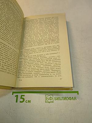 Село Степанчиково и его обитатели