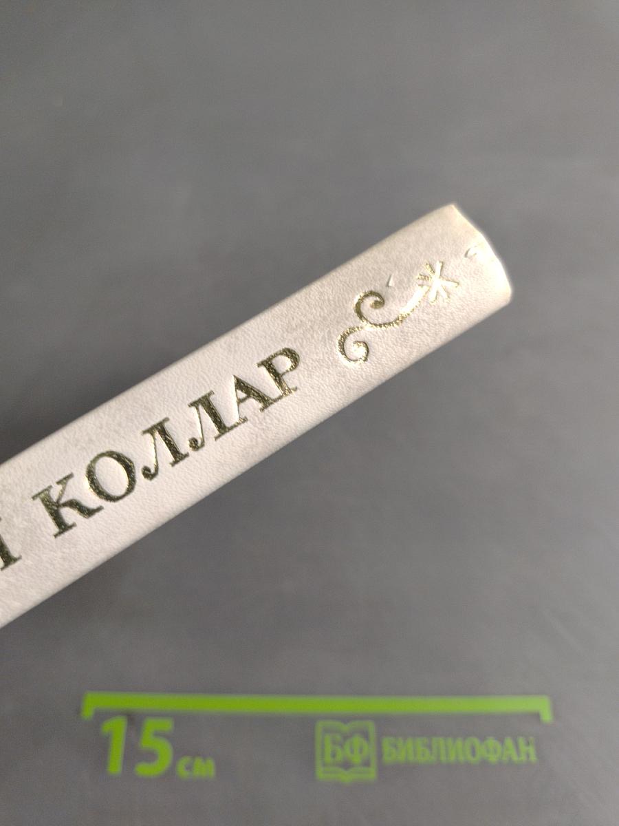Сто сонетов