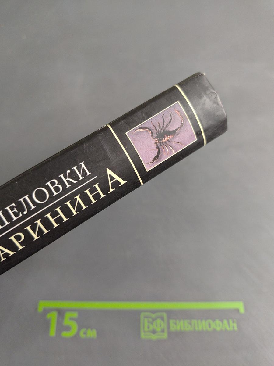 Пружина для мышеловки