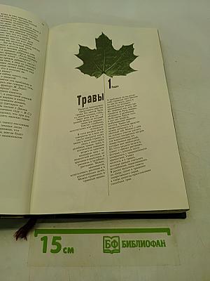 Грибы и ягоды природы