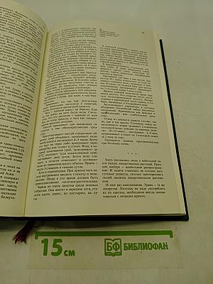 Грибы и ягоды природы