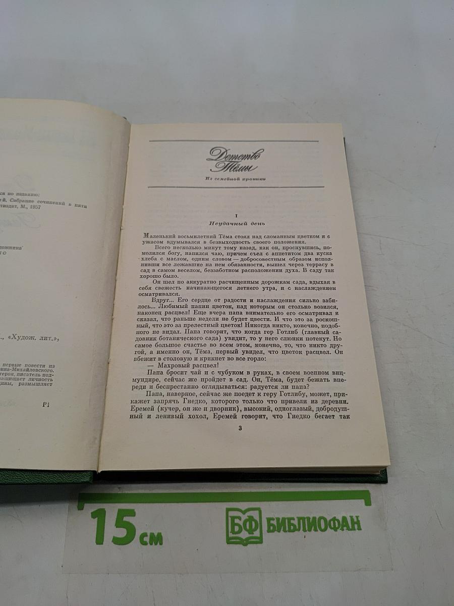 Детство. Гимназисты