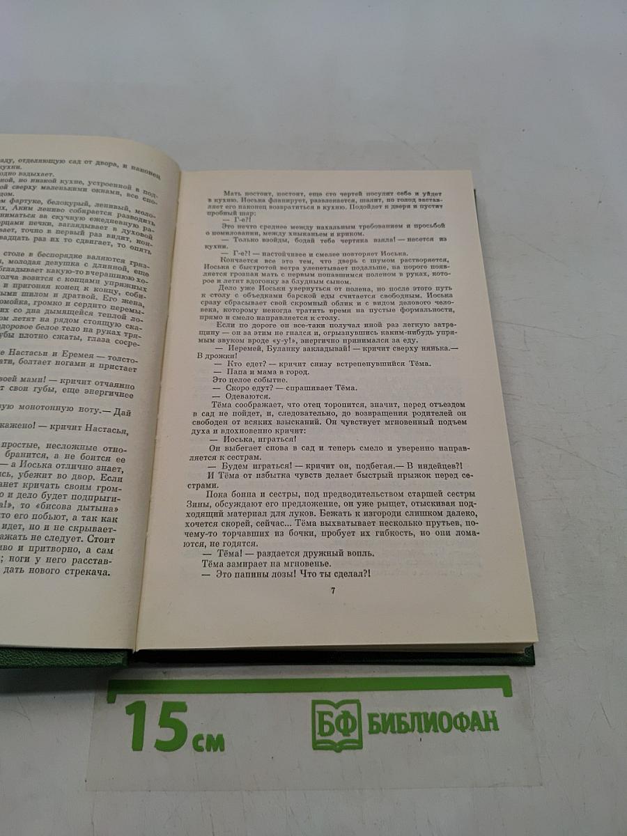 Детство. Гимназисты