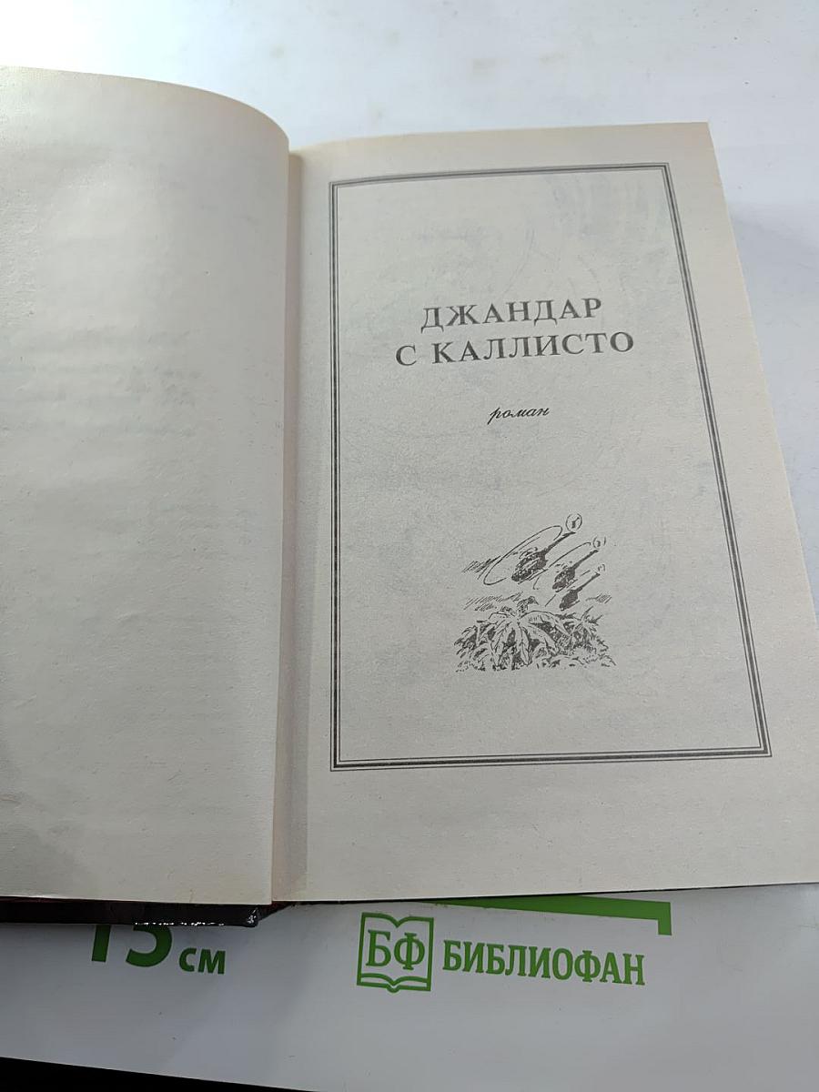 Пираты Каллисто