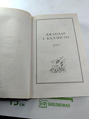 Пираты Каллисто