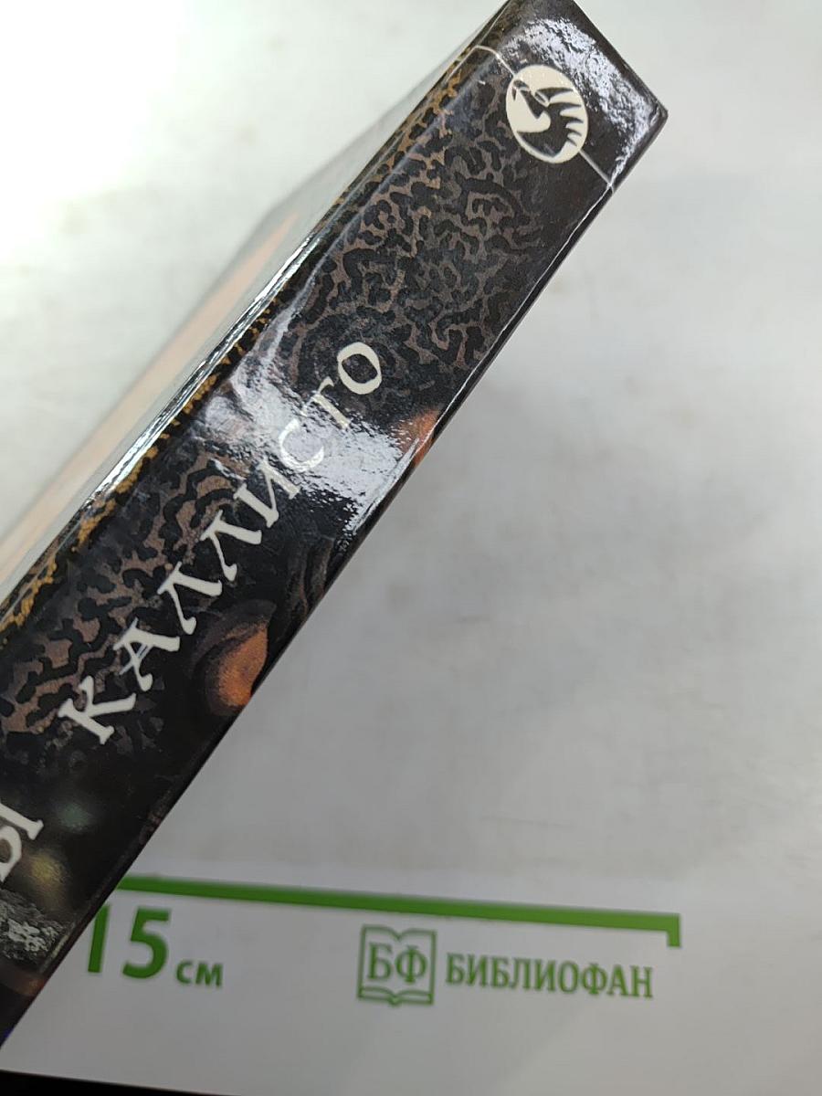 Пираты Каллисто