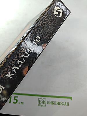 Пираты Каллисто