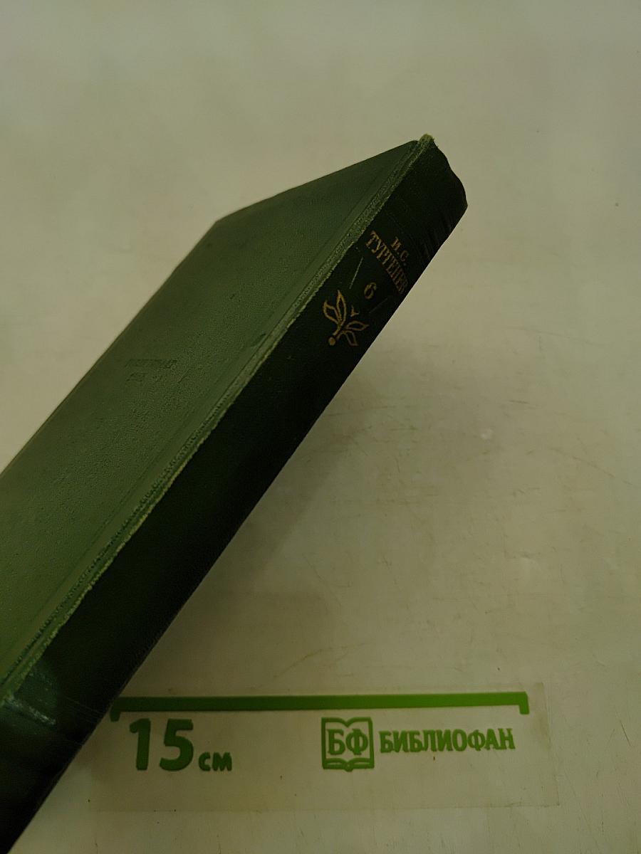 Собрание сочинений. Том шестой. Повести и рассказы 1851-1860 годов