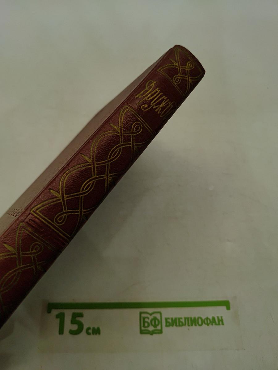Дружба