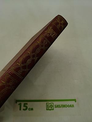 Дружба