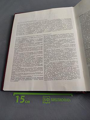 Большая Советская Энциклопедия. Том 22. Ремень — Сафи