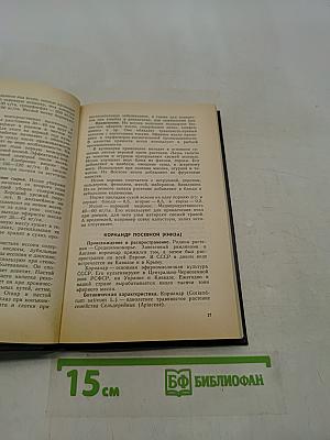 Пряно-ароматические растения