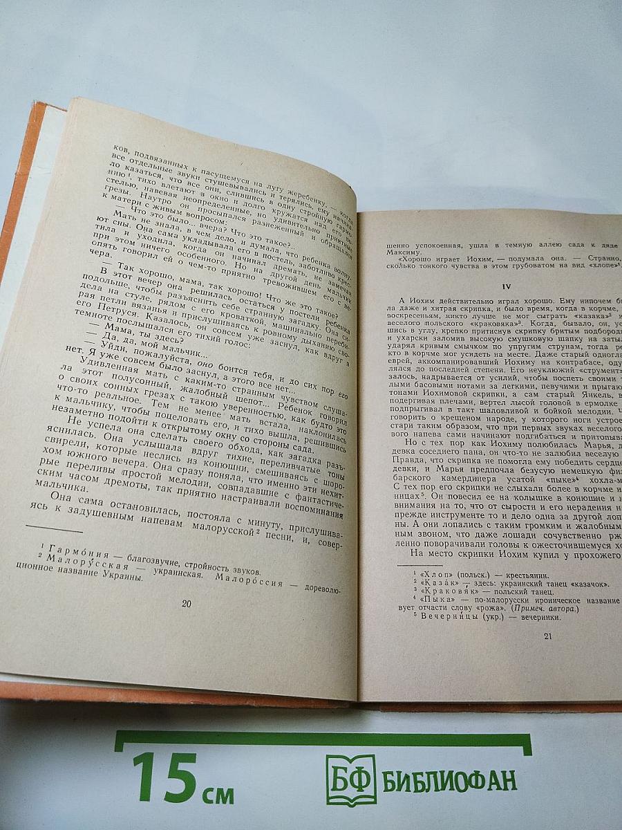 Слепой музыкант