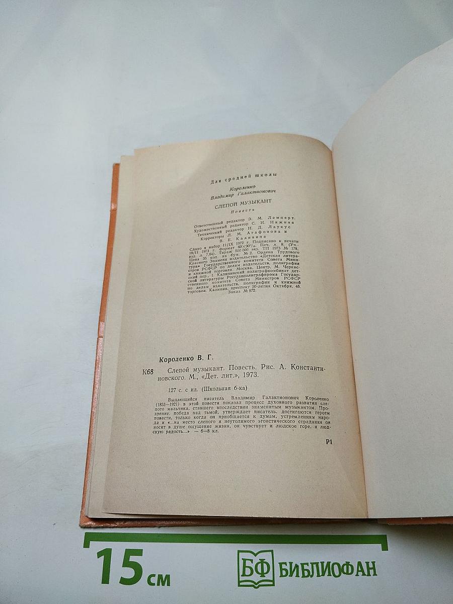 Слепой музыкант