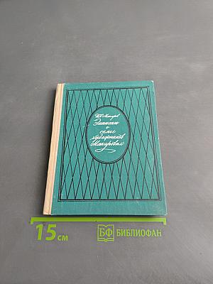 Записки о гении художников-макаровцев