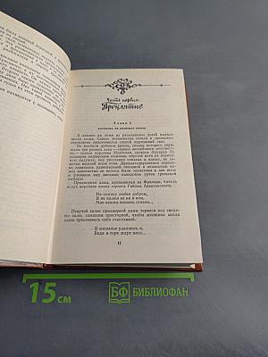 Железный король. Узница Шато-Тайара