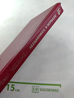 Сидни Шелдон. Сочинения. Незнакомец в зеркале