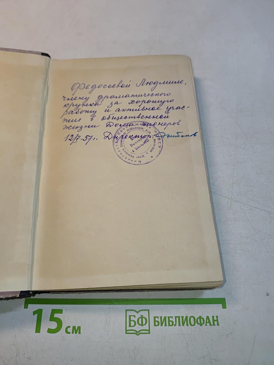 Михайловский замок. Одеты камнем