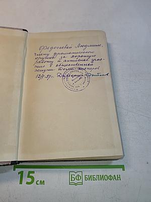 Михайловский замок. Одеты камнем