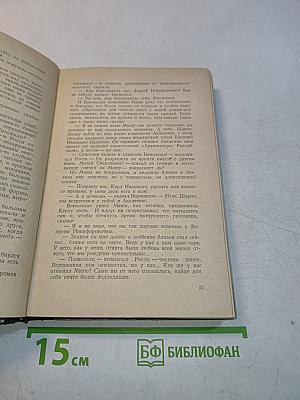 Михайловский замок. Одеты камнем