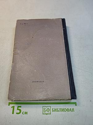 Михайловский замок. Одеты камнем