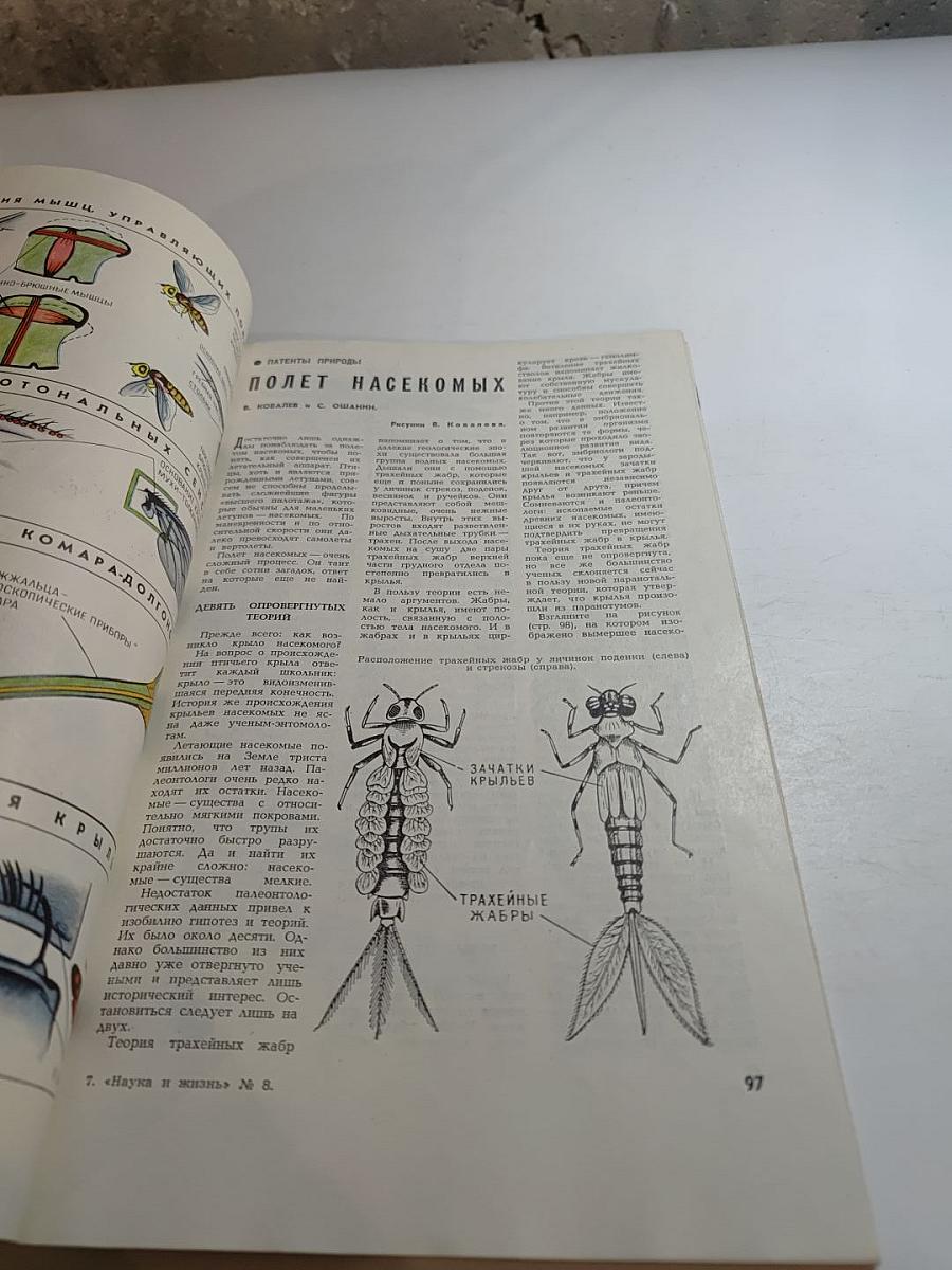 Наука и жизнь. № 8. Август 1965