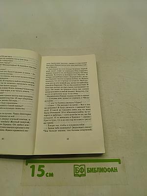 Враги. История любви