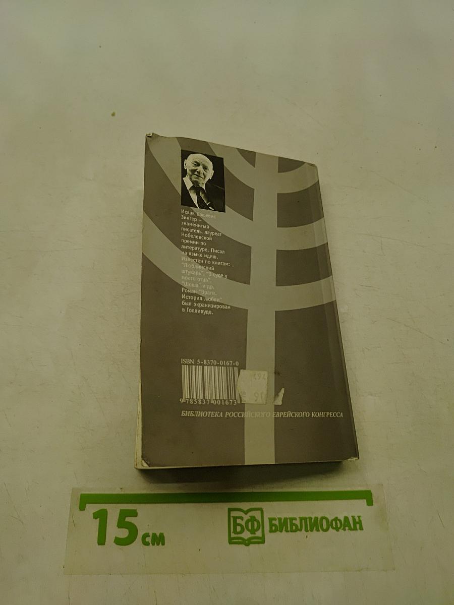 Враги. История любви
