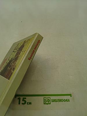 Красная площадь
