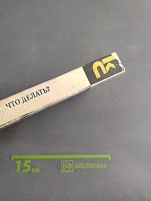 Что делать?