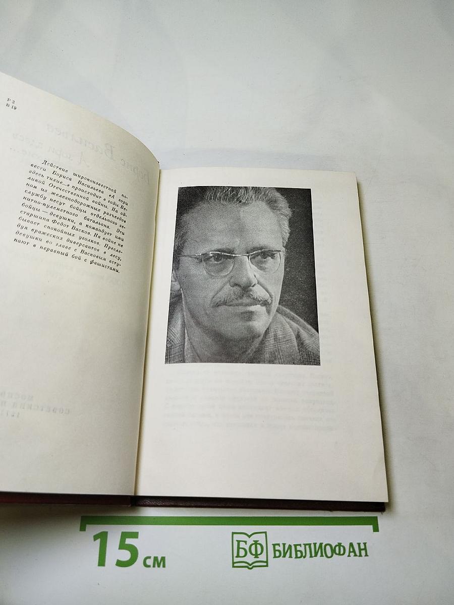 А зори здесь тихие...